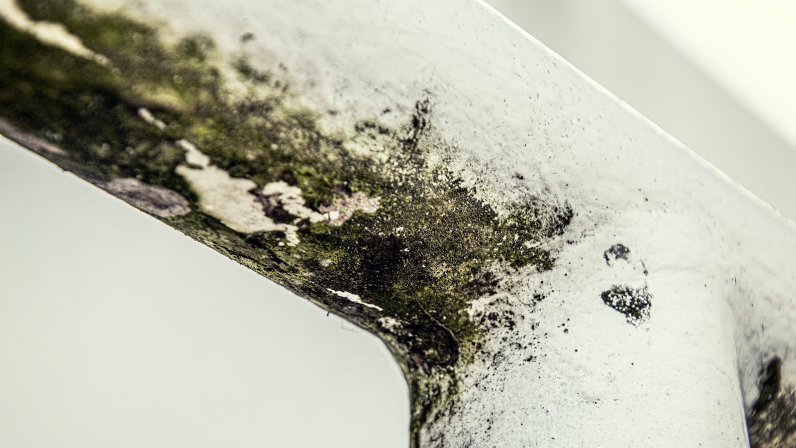 Close-up of black mold growth in the corner of a wall