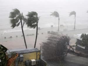 Essential Hurricane Season Preparation Tips